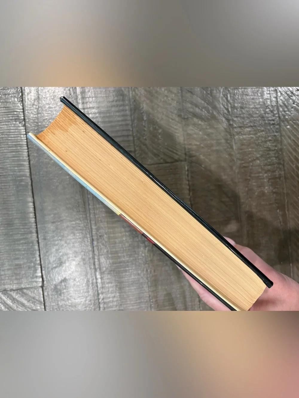 A Treasury of American Horror Stories Hardcover Book